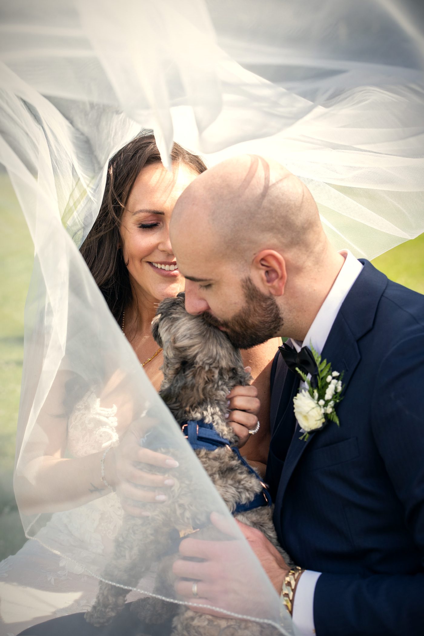 A couple laughing under a veil, a small dog tucked between them