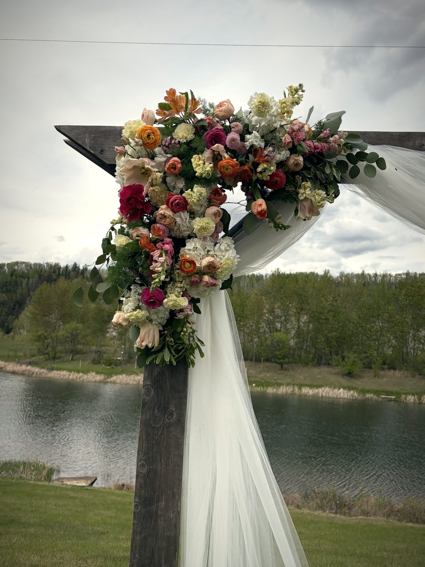 Peach and pink roses on a timber arch with white drapery, the water behind
