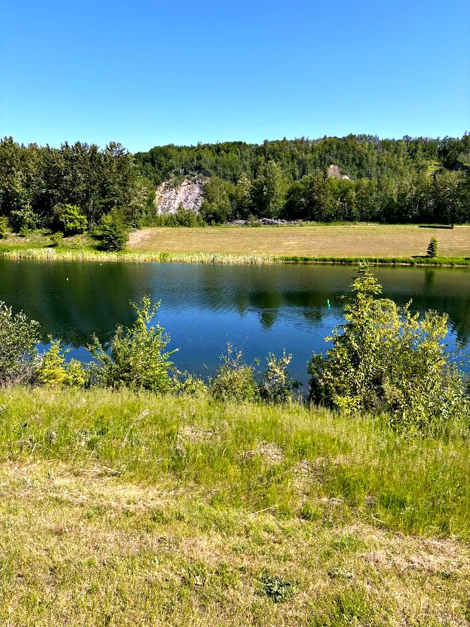 The water's edge in high summer, long grass in the foreground and the pale valley bank behind