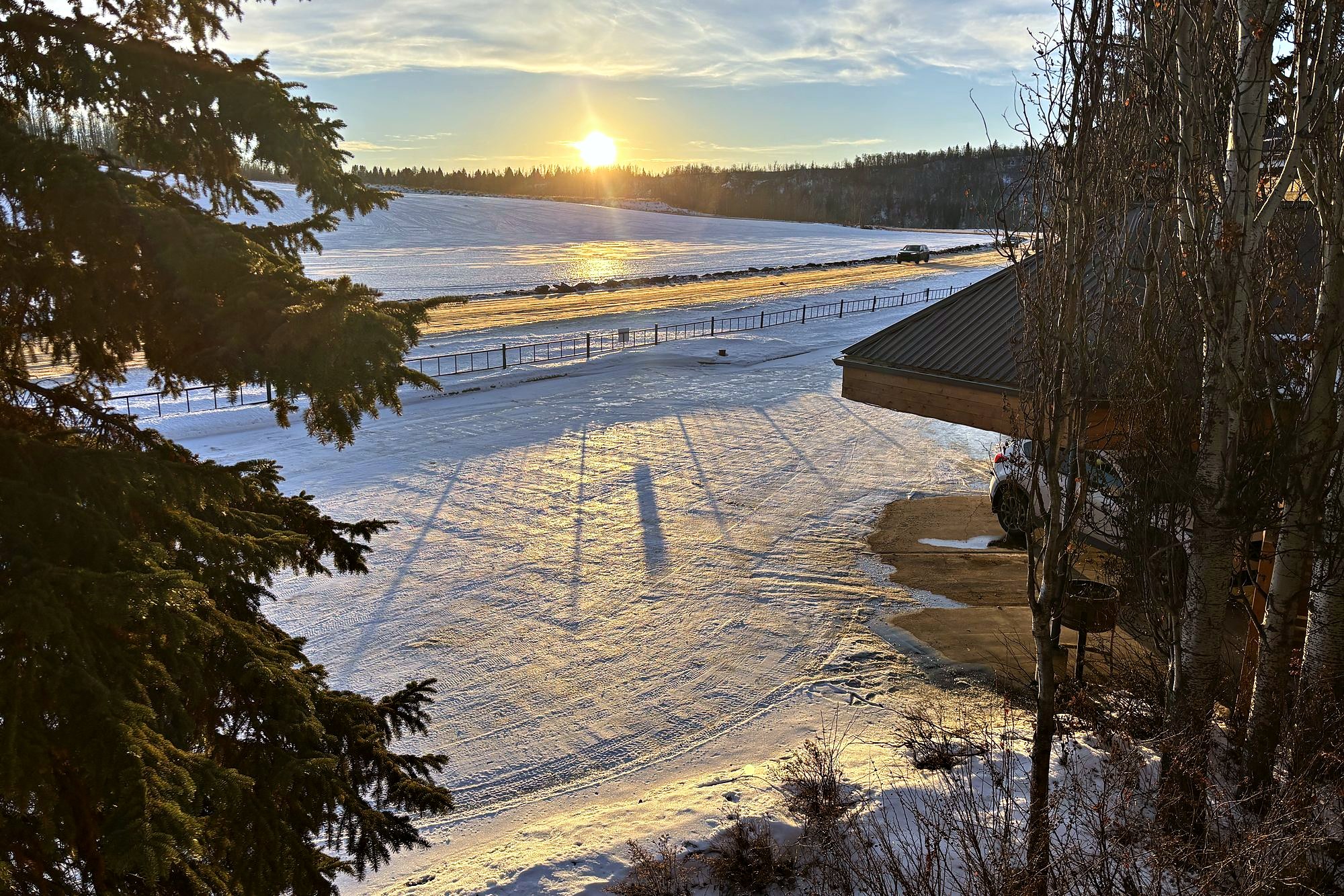 A low winter sun standing over the frozen lake, seen through the spruce from the deck